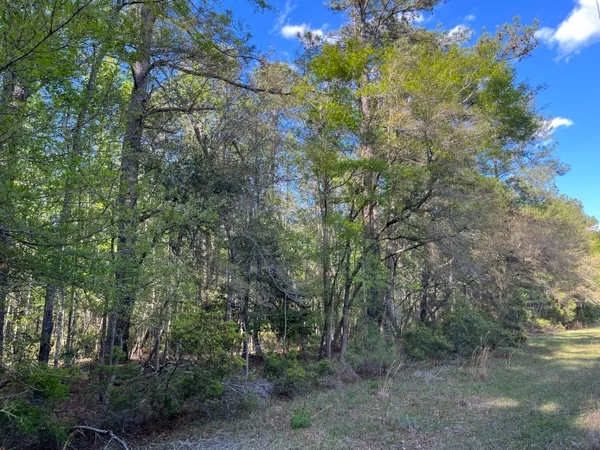 $375,000 | 0 Rentz Drive, Walterboro, SC 29488