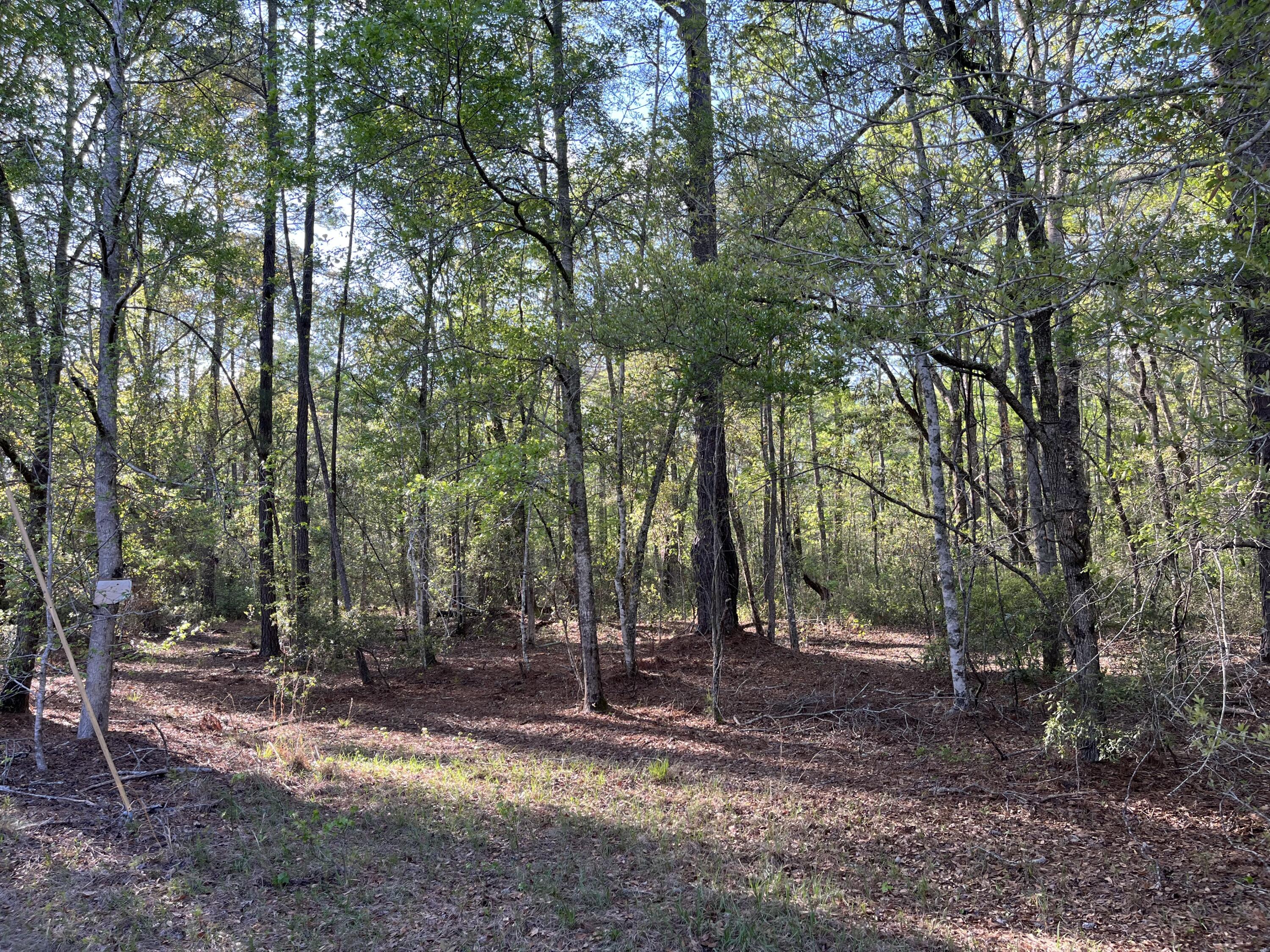 0 Rentz Drive Walterboro, SC 29488 - Photo 5 of 15 rentz pic 10