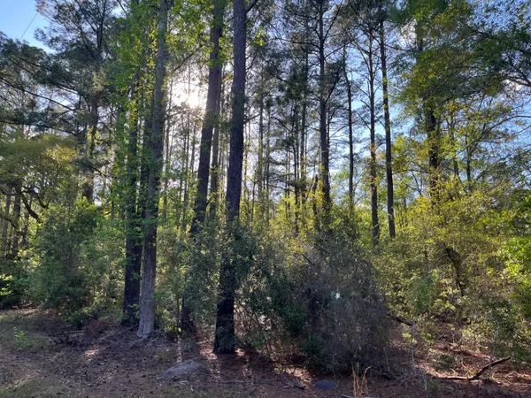 $375,000 | 0 Rentz Drive, Walterboro, SC 29488
