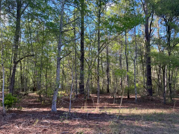 $375,000 | 0 Rentz Drive, Walterboro, SC 29488