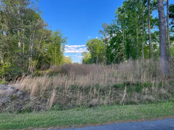 $375,000 | 0 Rentz Drive, Walterboro, SC 29488