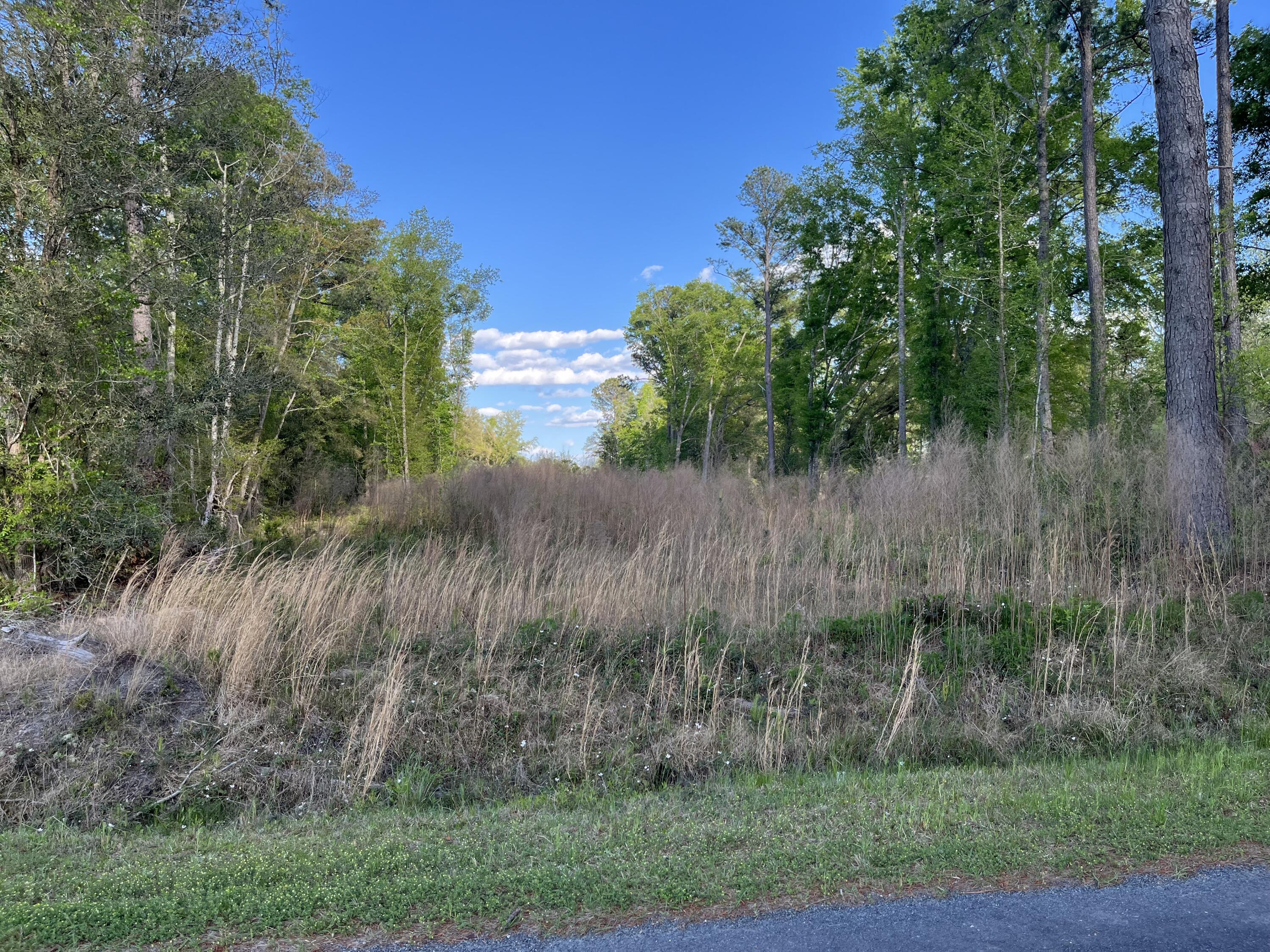 0 Rentz Drive Walterboro, SC 29488 - Photo 8 of 15 rentz pic 15