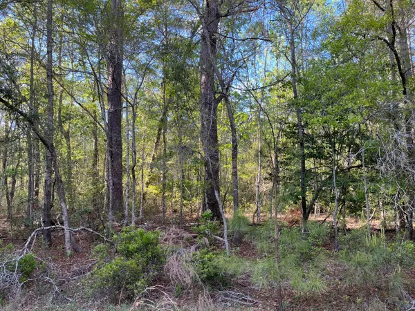 $375,000 | 0 Rentz Drive, Walterboro, SC 29488