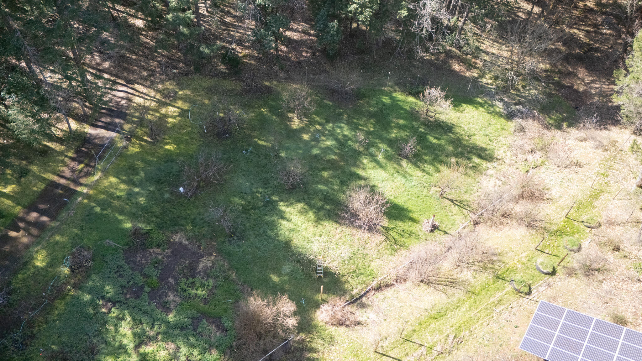 1449 Queen Of Bronze Road Cave Junction, OR 97523 - Photo 78 of 87 DJI_20240327222159_0347_D-HDR