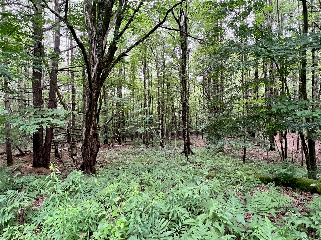 Hawkins Road Maryland, NY 12116 - Photo 12 of 15 Gallery Image 12