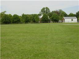 941 Bowling Branch Road Cottontown, TN 37048 - Photo 3 of 16 Backyard....beautiful building area