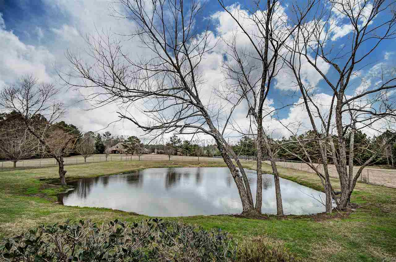 609 Holly Bush Road Brandon, MS 39047 - Photo 49 of 50 Photo 49