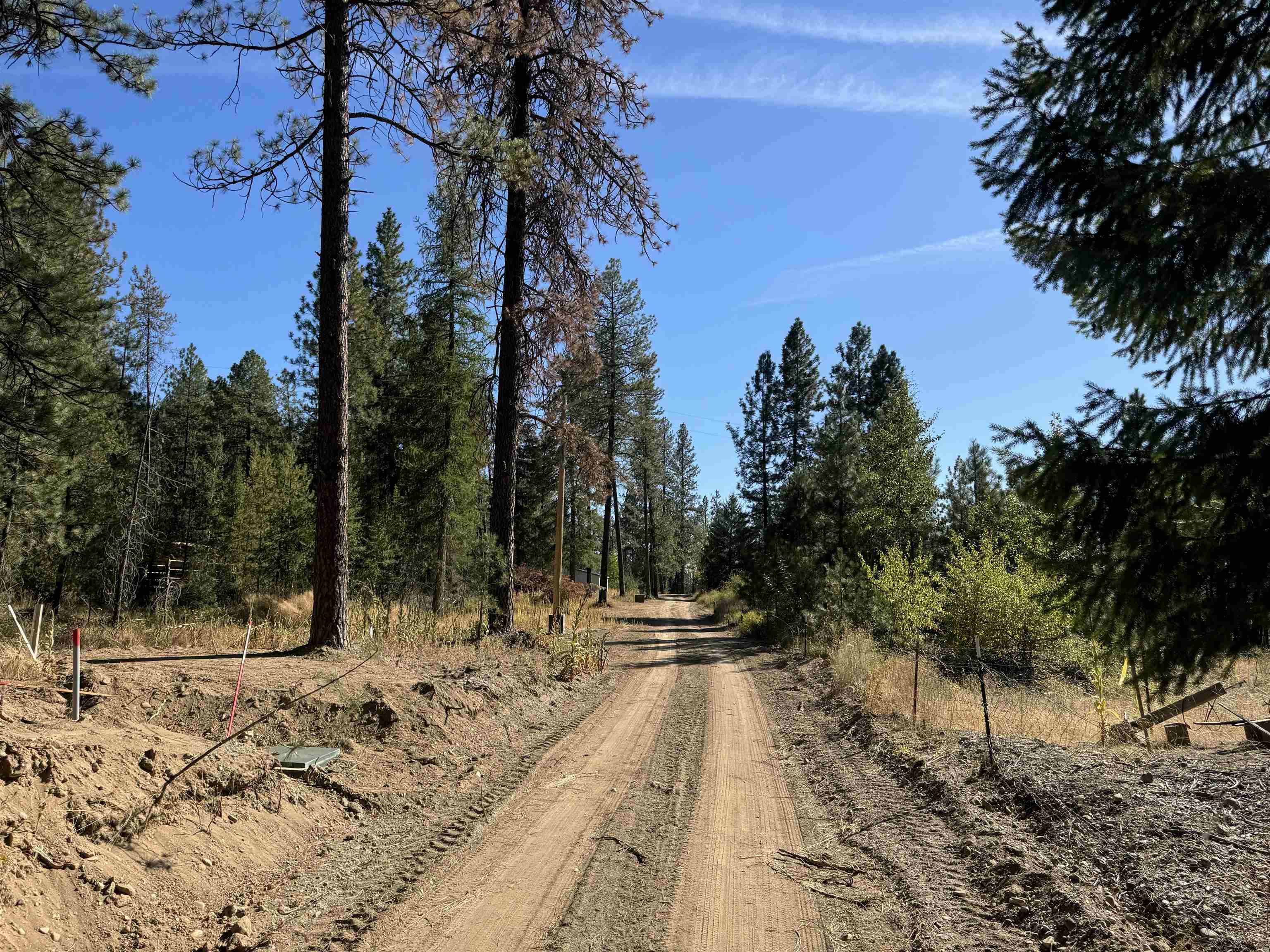 600 North A Street, Unit LOT #3 Springdale, WA 99173 - Photo 4 of 9