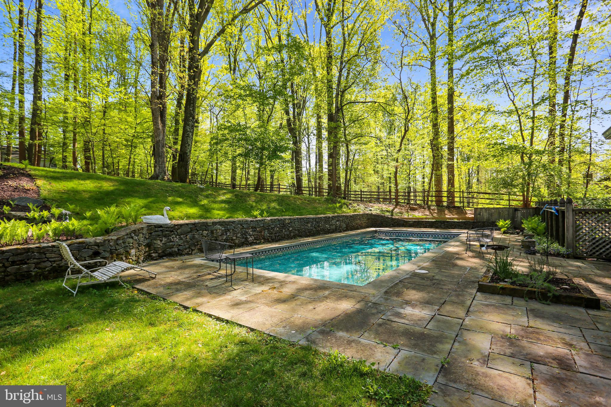 10104 Logan Drive Potomac, MD 20854 - Photo 18 of 59 Inground gunite pool