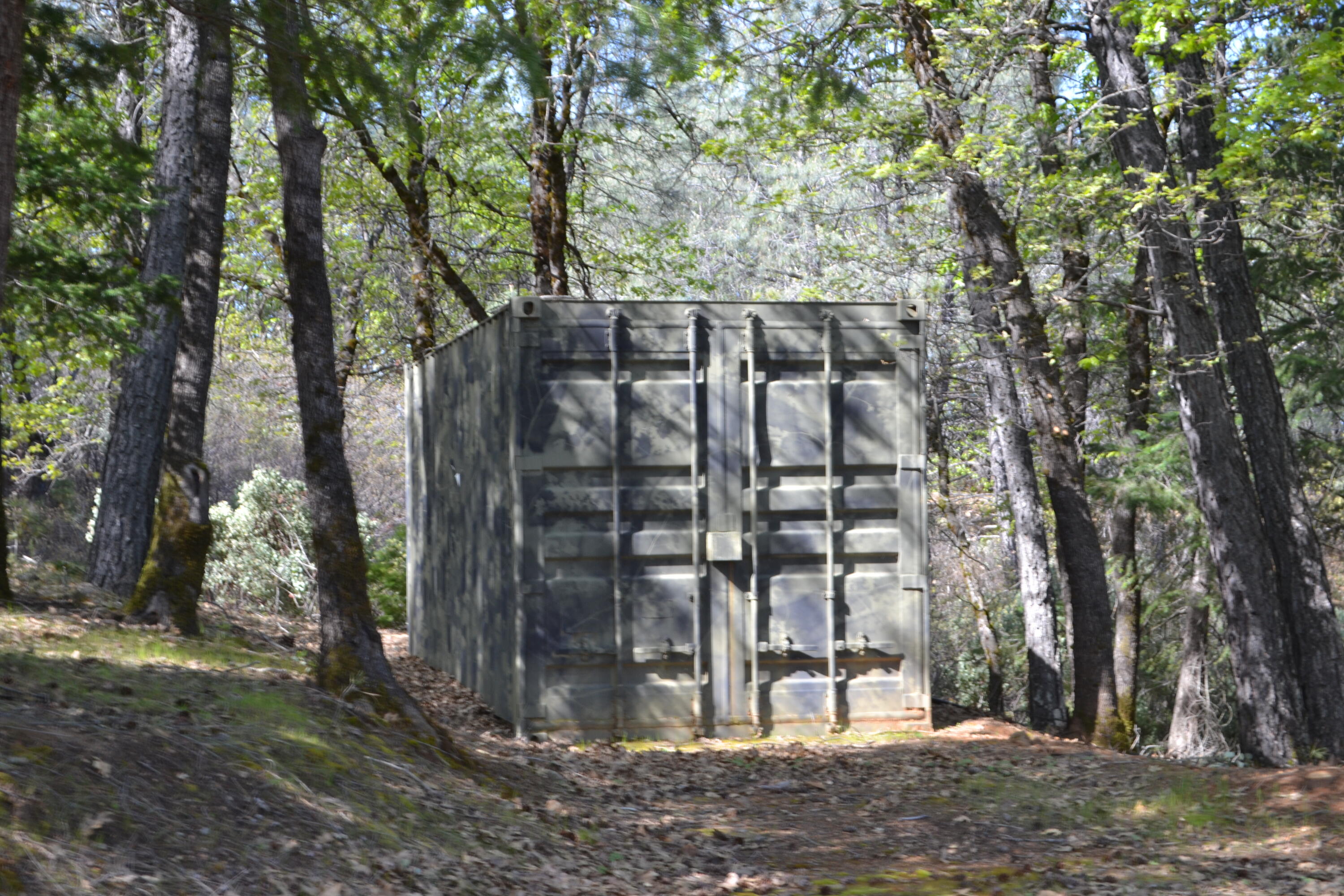 Backbone Road Bella Vista, CA 96008 - Photo 12 of 42 a view of a street with potted plants and large trees
