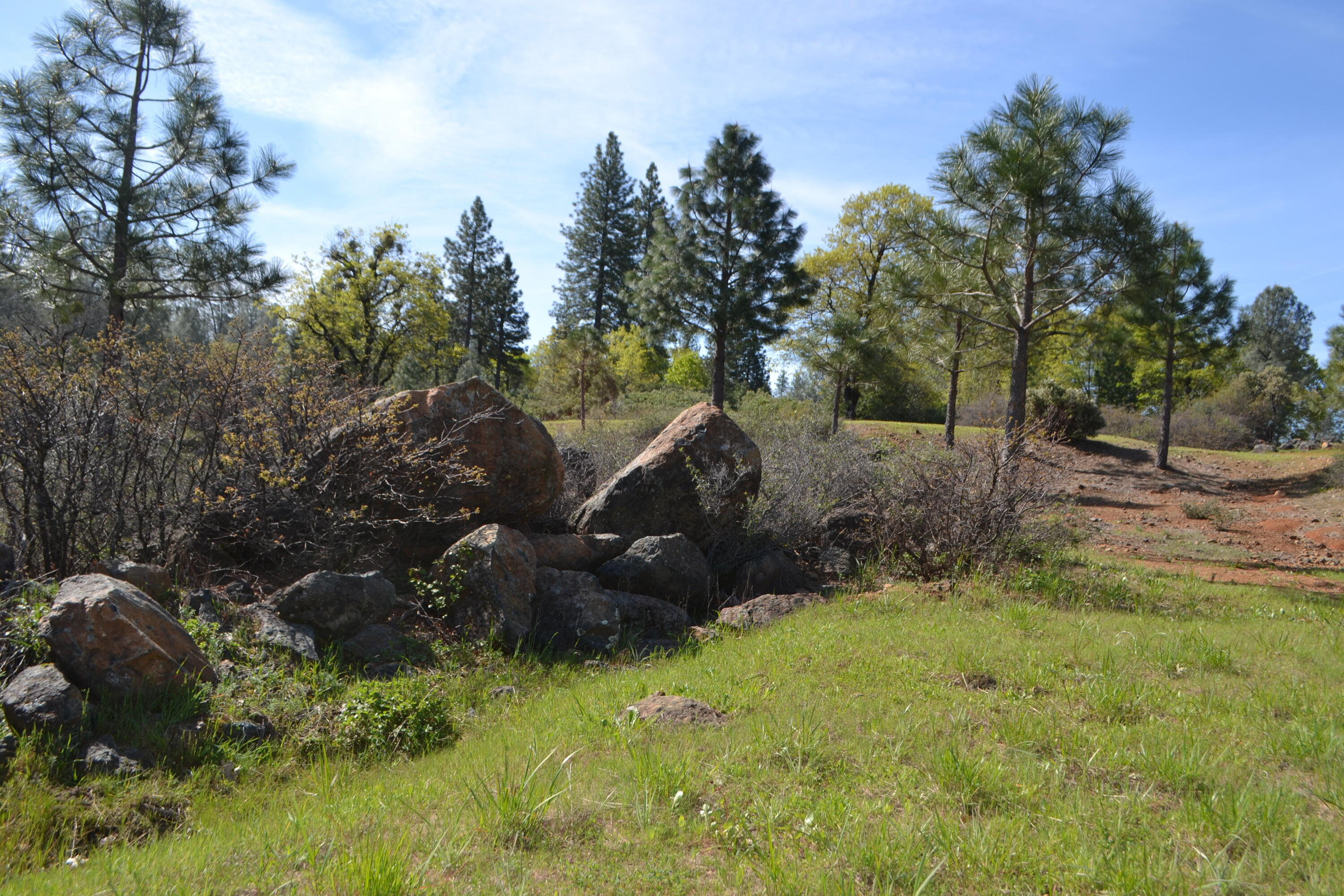 Backbone Road Bella Vista, CA 96008 - Photo 13 of 42 a view of backyard with green space