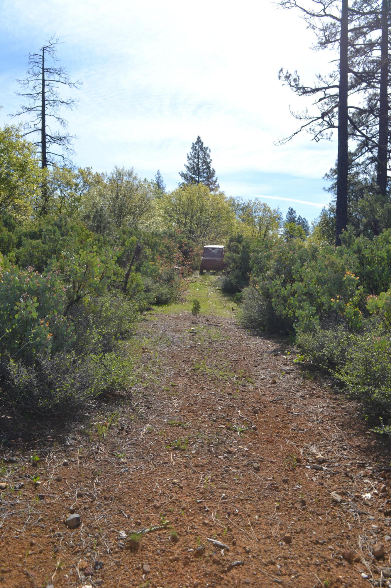 Backbone Road Bella Vista, CA 96008 - Photo 15 of 42 a view of a city with lush green forest