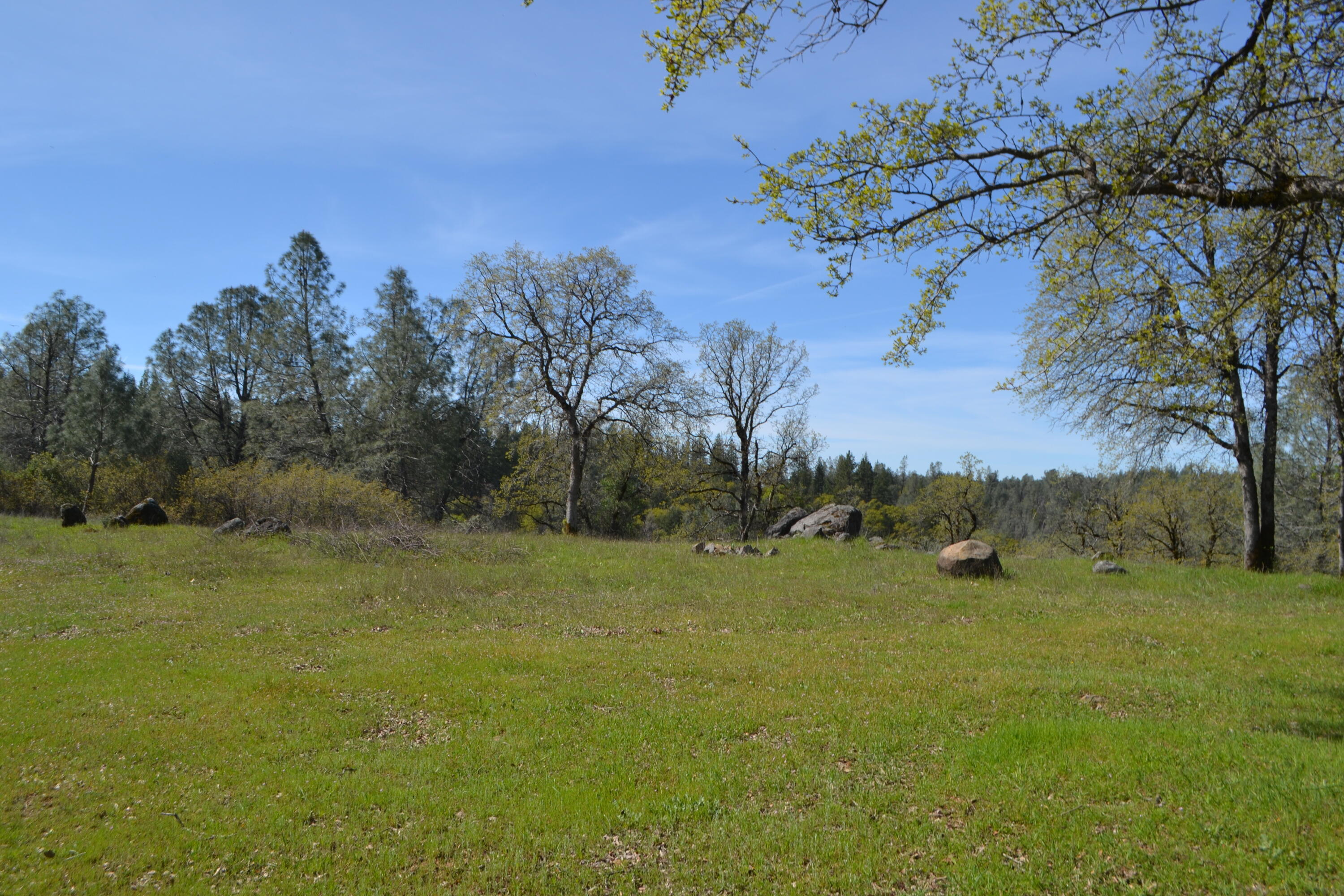 Backbone Road Bella Vista, CA 96008 - Photo 17 of 42 a view of a field with an ocean