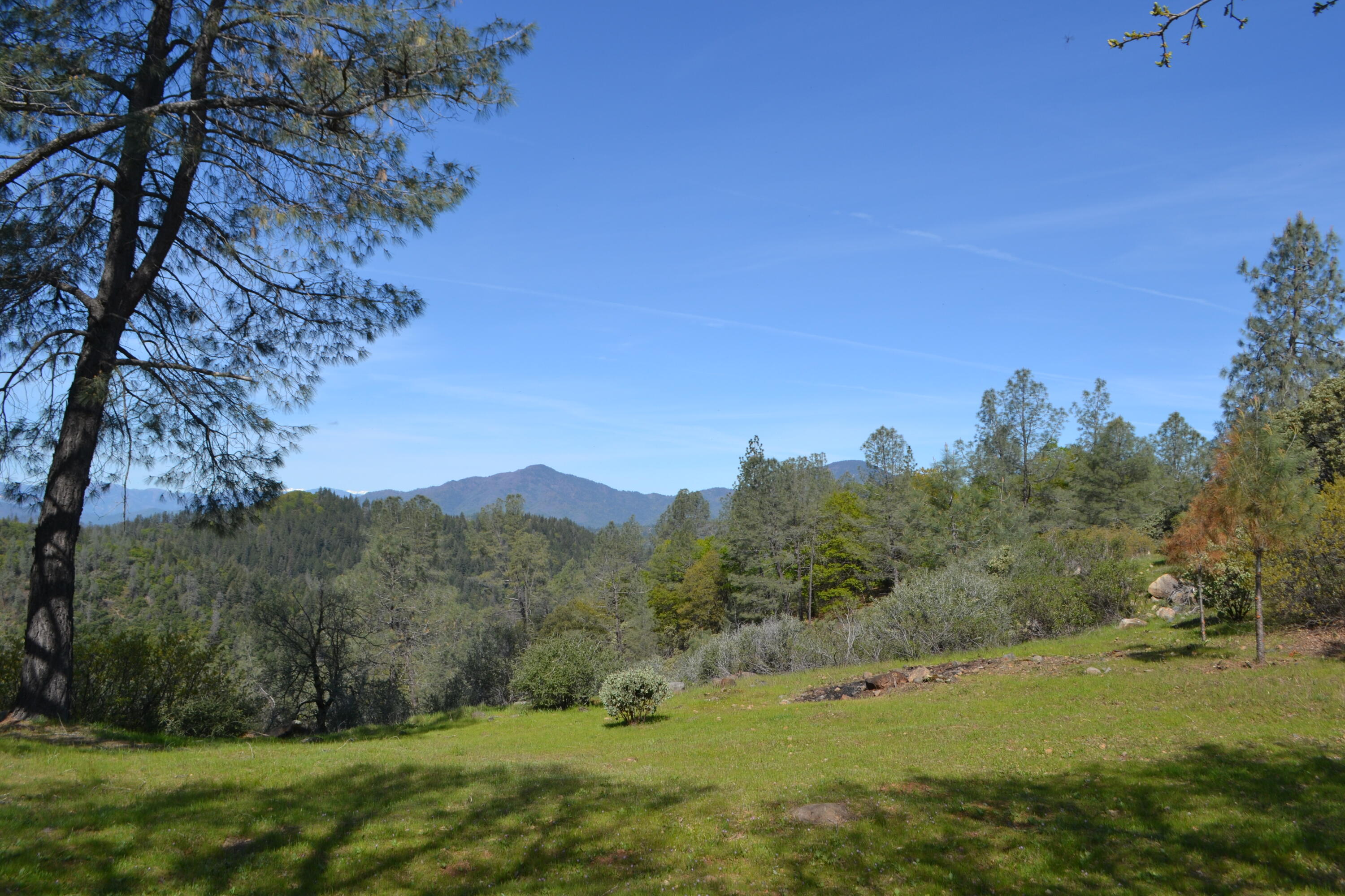 Backbone Road Bella Vista, CA 96008 - Photo 18 of 42 a view of a lush green outdoor space with a swimming pool
