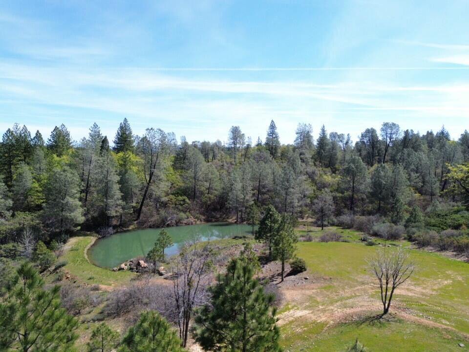 Backbone Road Bella Vista, CA 96008 - Photo 2 of 42 an aerial view of a residential houses with outdoor space and trees all around