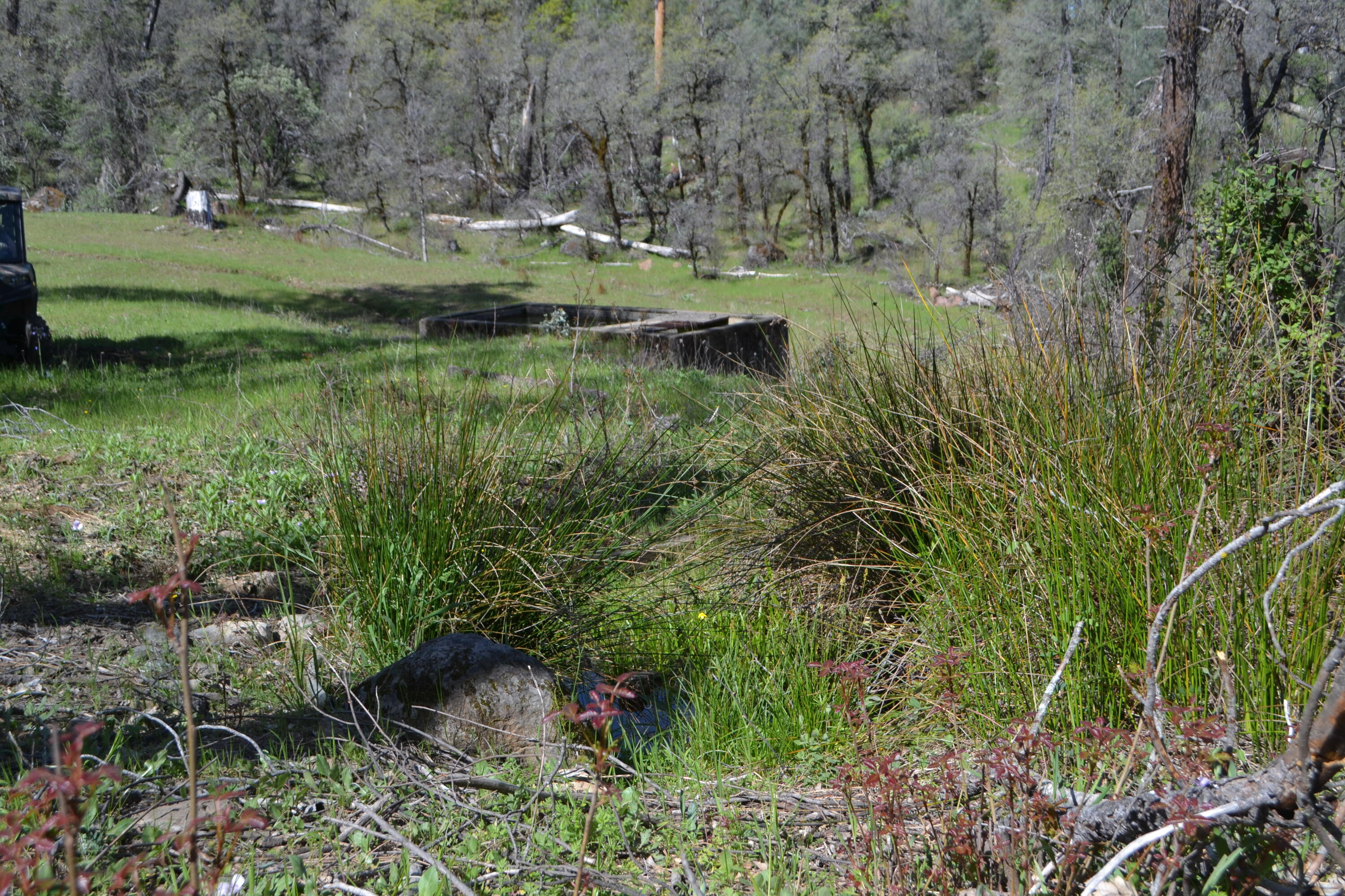 Backbone Road Bella Vista, CA 96008 - Photo 24 of 42 a view of a garden with a lake