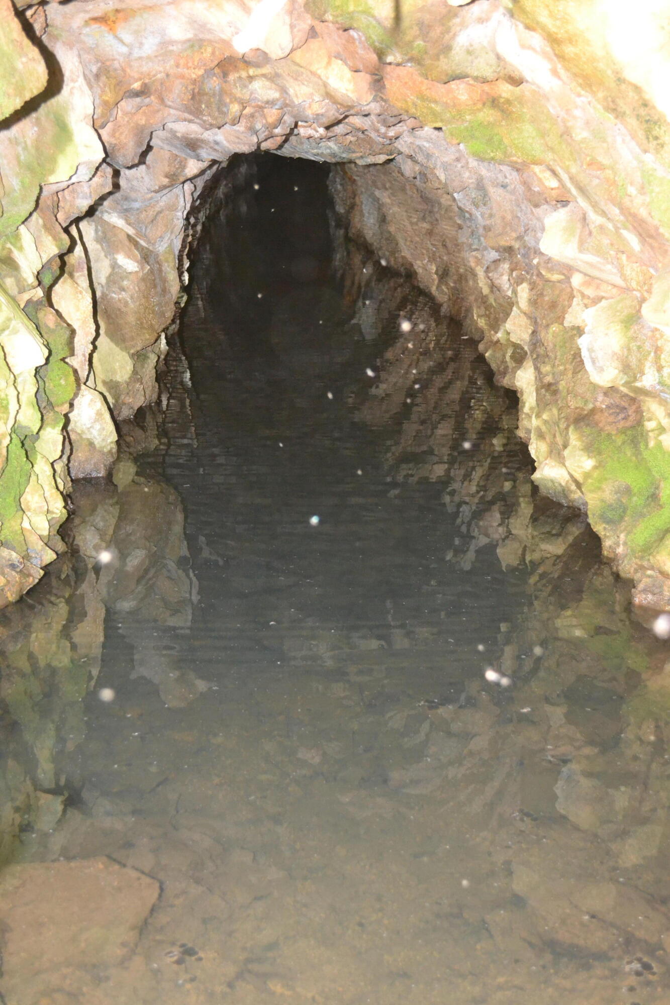 Backbone Road Bella Vista, CA 96008 - Photo 26 of 42