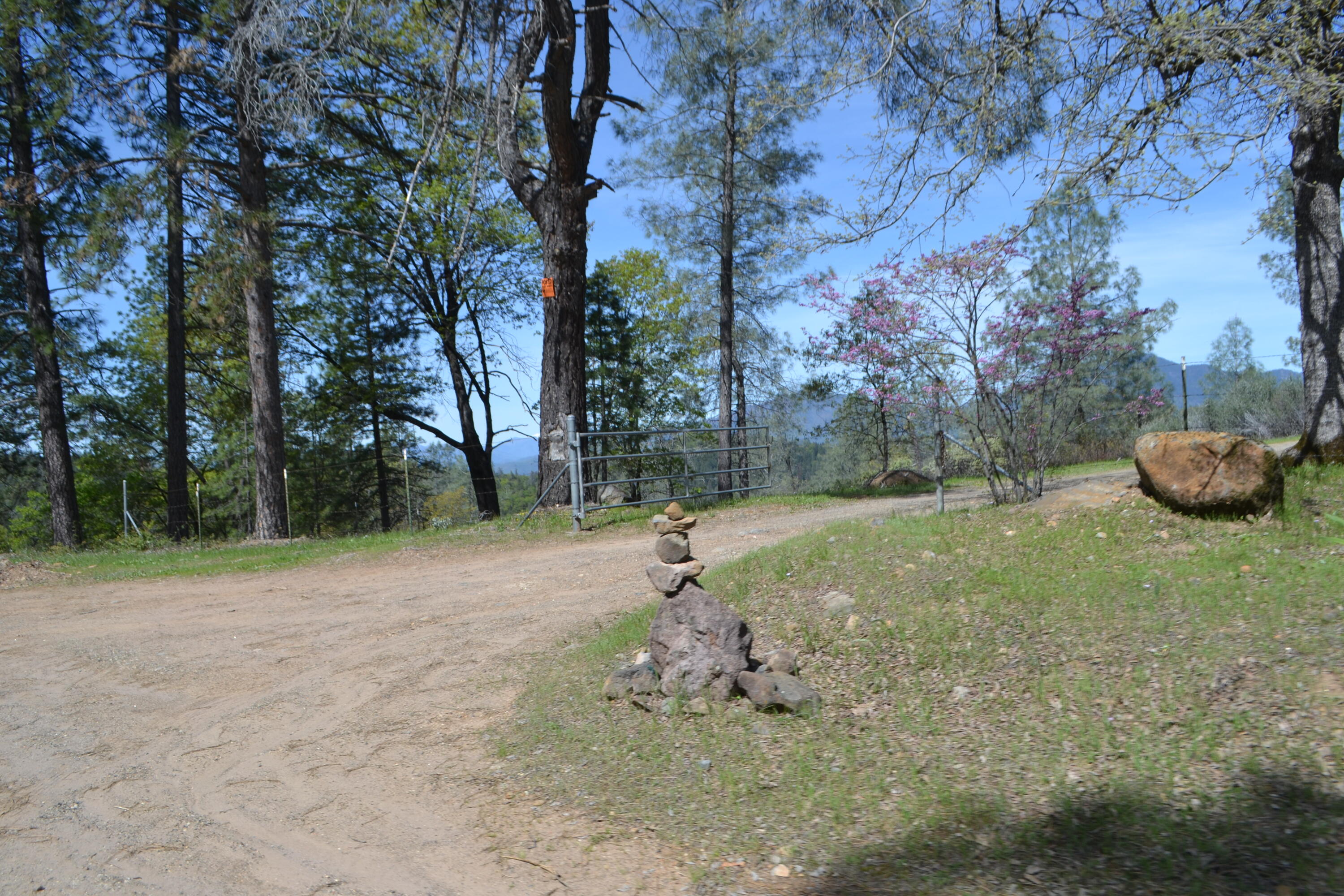 Backbone Road Bella Vista, CA 96008 - Photo 30 of 42 a backyard of a house with lots of green space