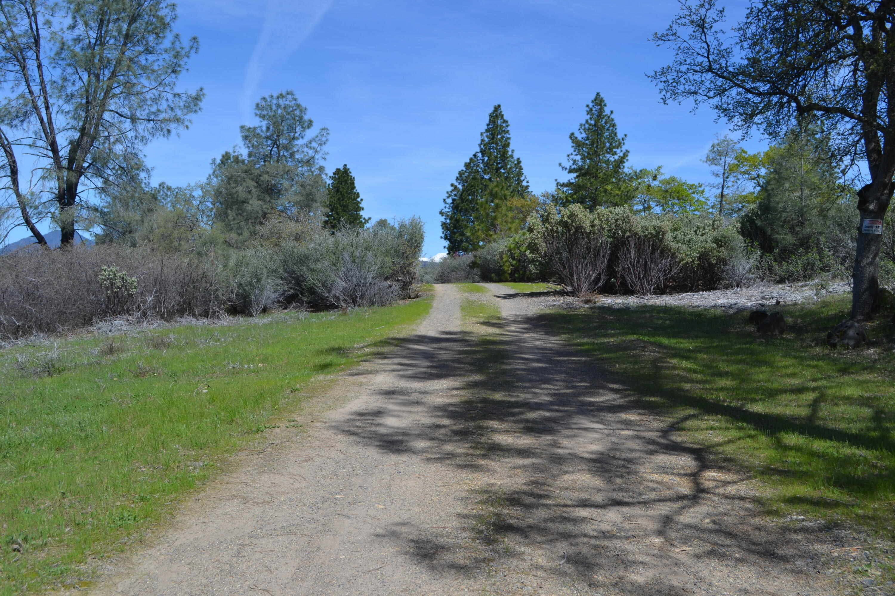 Backbone Road Bella Vista, CA 96008 - Photo 31 of 42 a view of a park with large trees