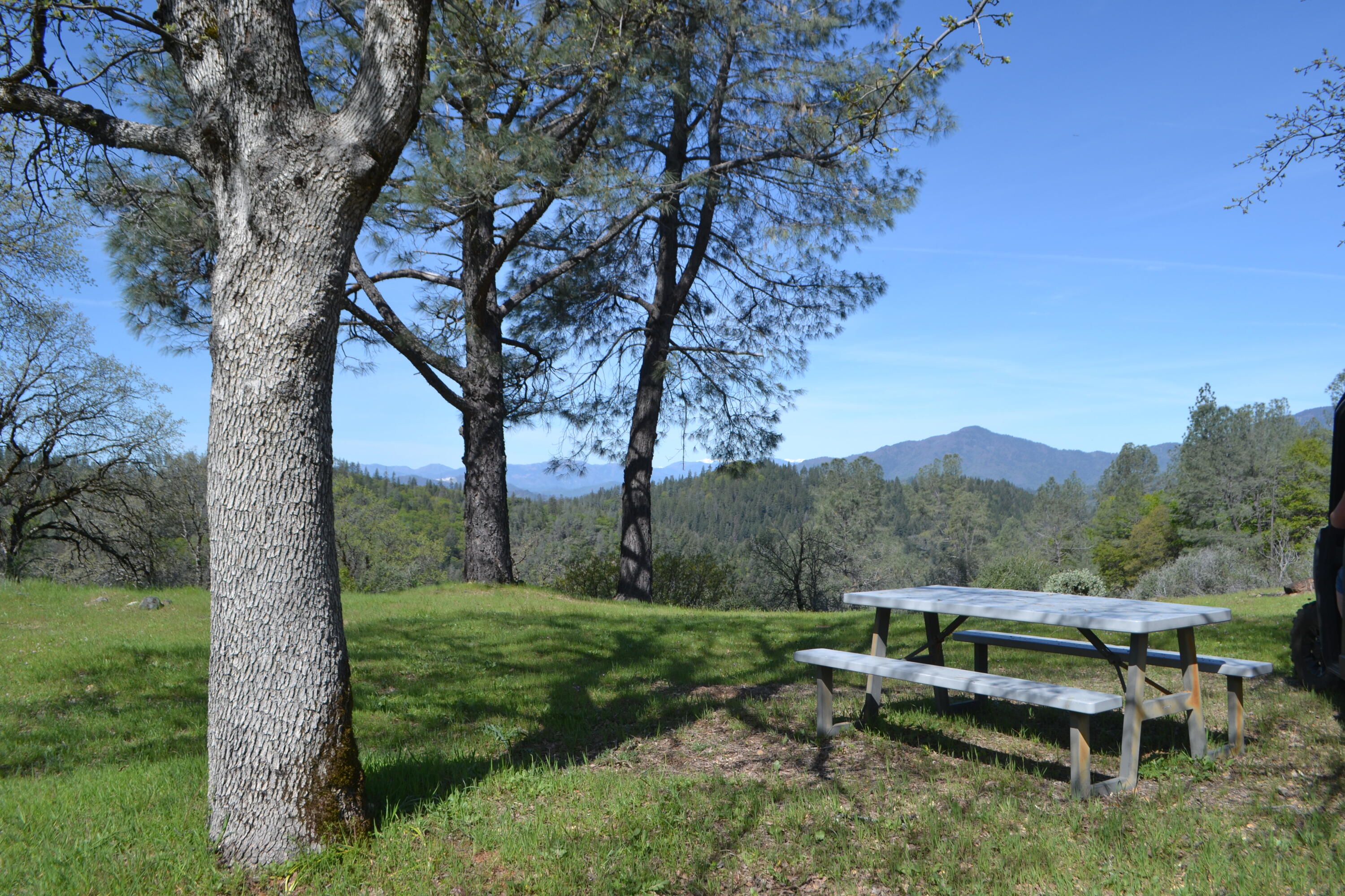 Backbone Road Bella Vista, CA 96008 - Photo 4 of 42 a view of a mountain with a yard