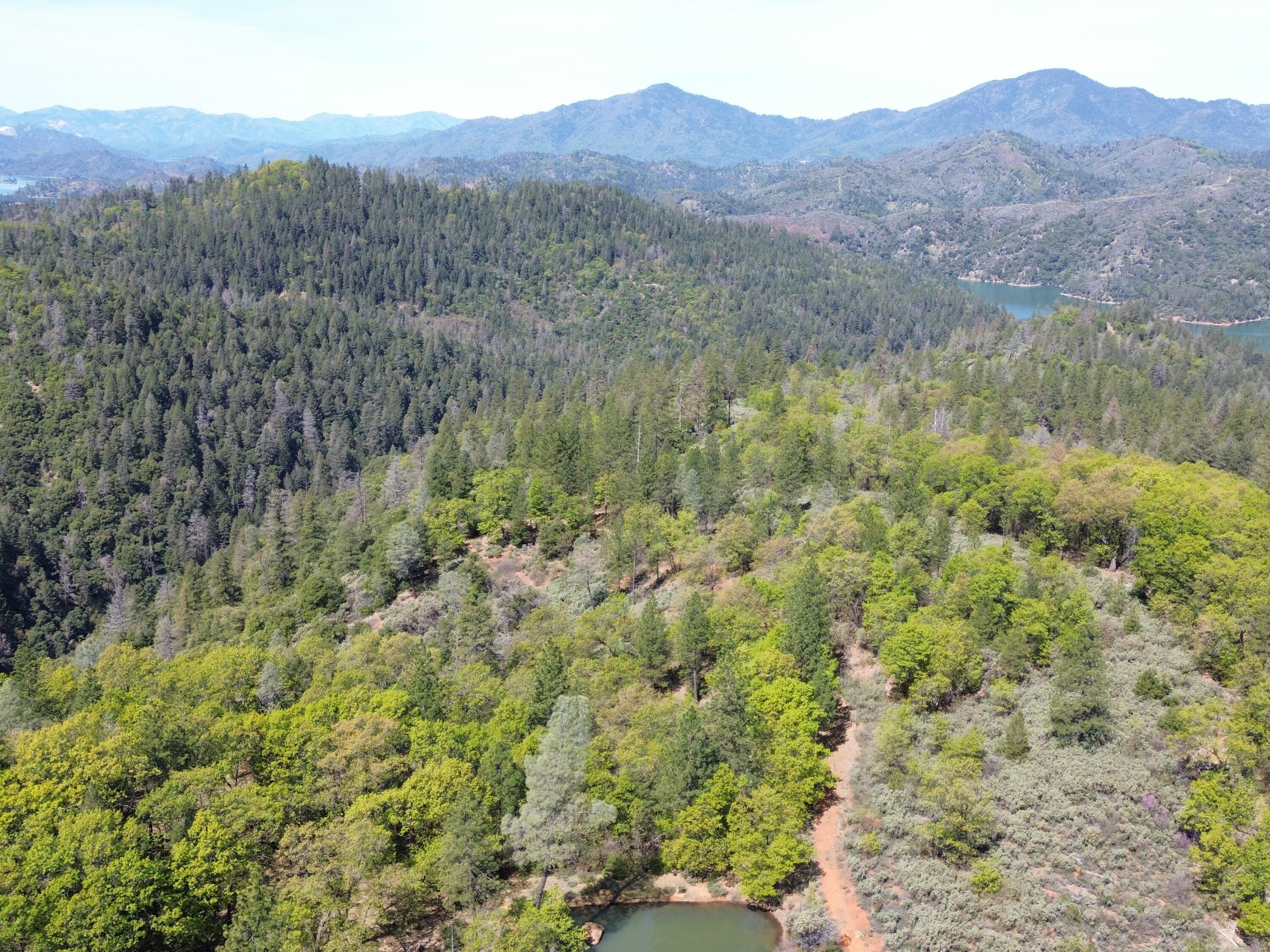 Backbone Road Bella Vista, CA 96008 - Photo 42 of 42 a view of a lush green forest with mountains in the background