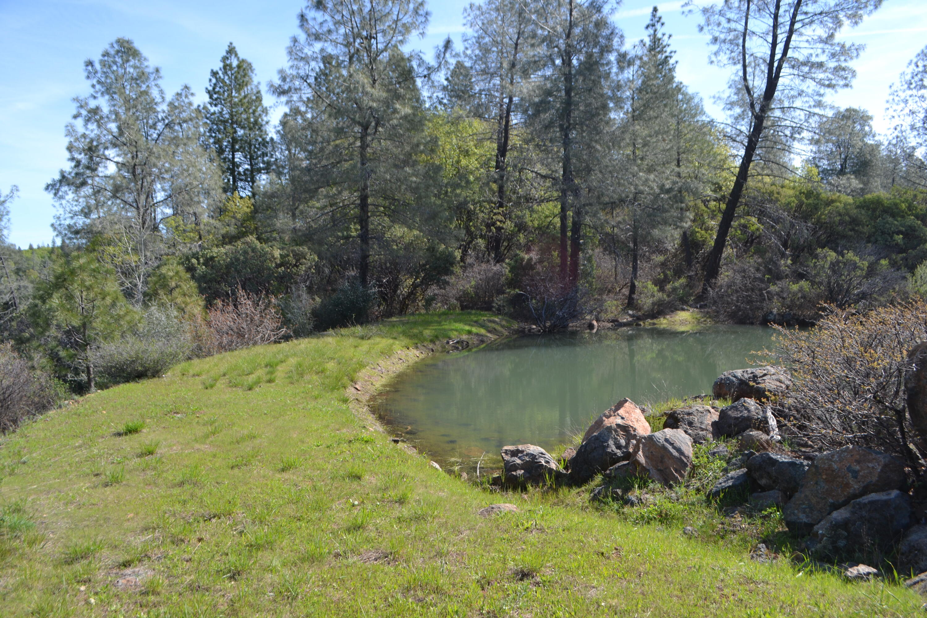 Backbone Road Bella Vista, CA 96008 - Photo 8 of 42 a view of a lake with a yard and large trees
