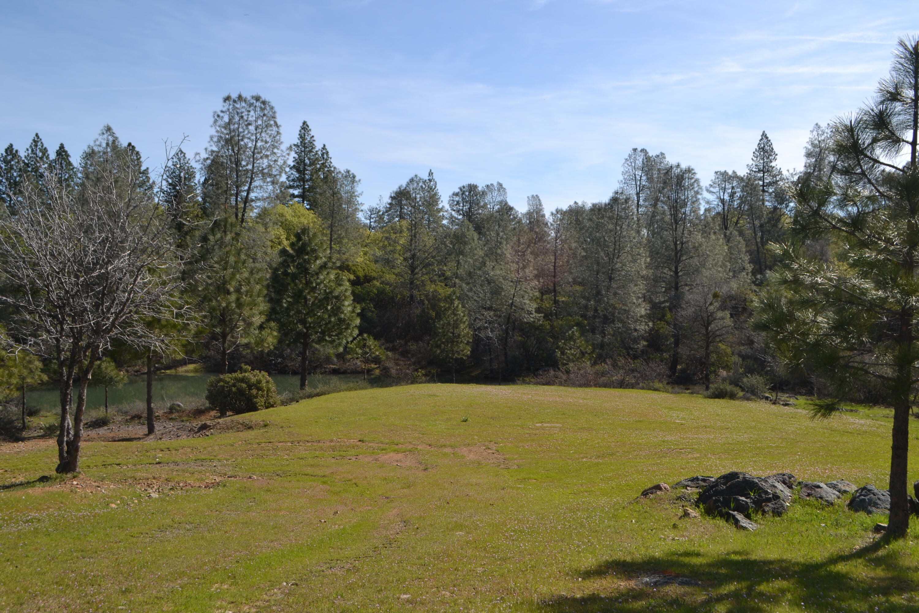 Backbone Road Bella Vista, CA 96008 - Photo 10 of 42 a view of a swimming pool and trees in the background