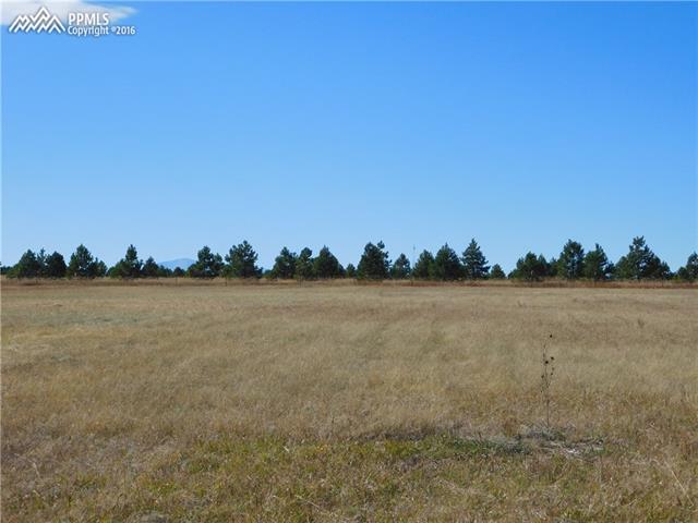 Pinon Park Road Peyton, CO 80831 - Photo 5 of 10 From center of the property, looking toward the northeast fence line (row of trees are just beyond fenceline on neighbor's property, Pikes Peak is in the distance left of center).