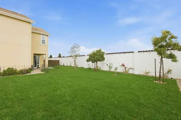 a view of a back yard