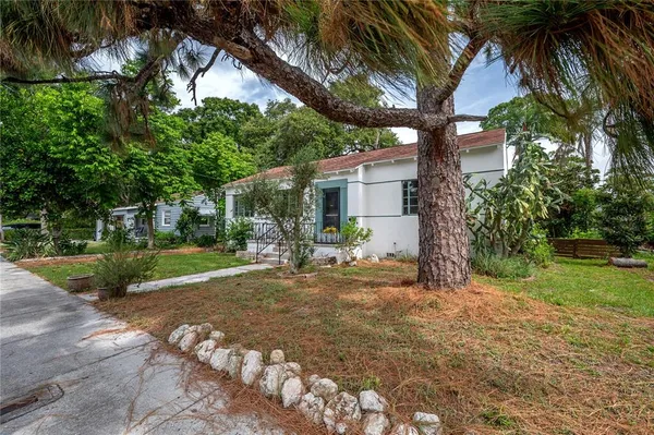 a view of a yard with small plants and palm trees