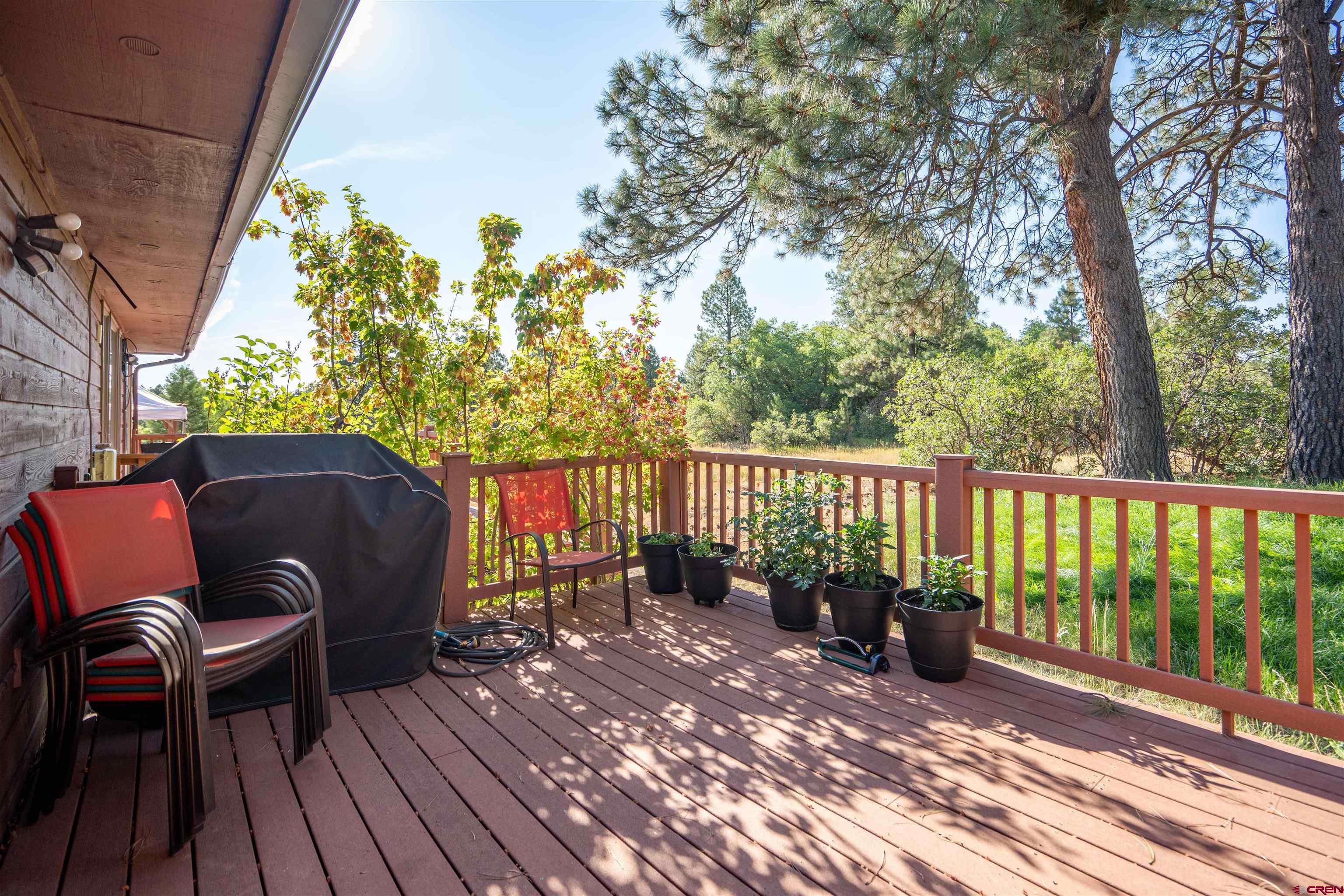 222 Pine Ridge Loop Durango, CO 81301 - Photo 19 of 27