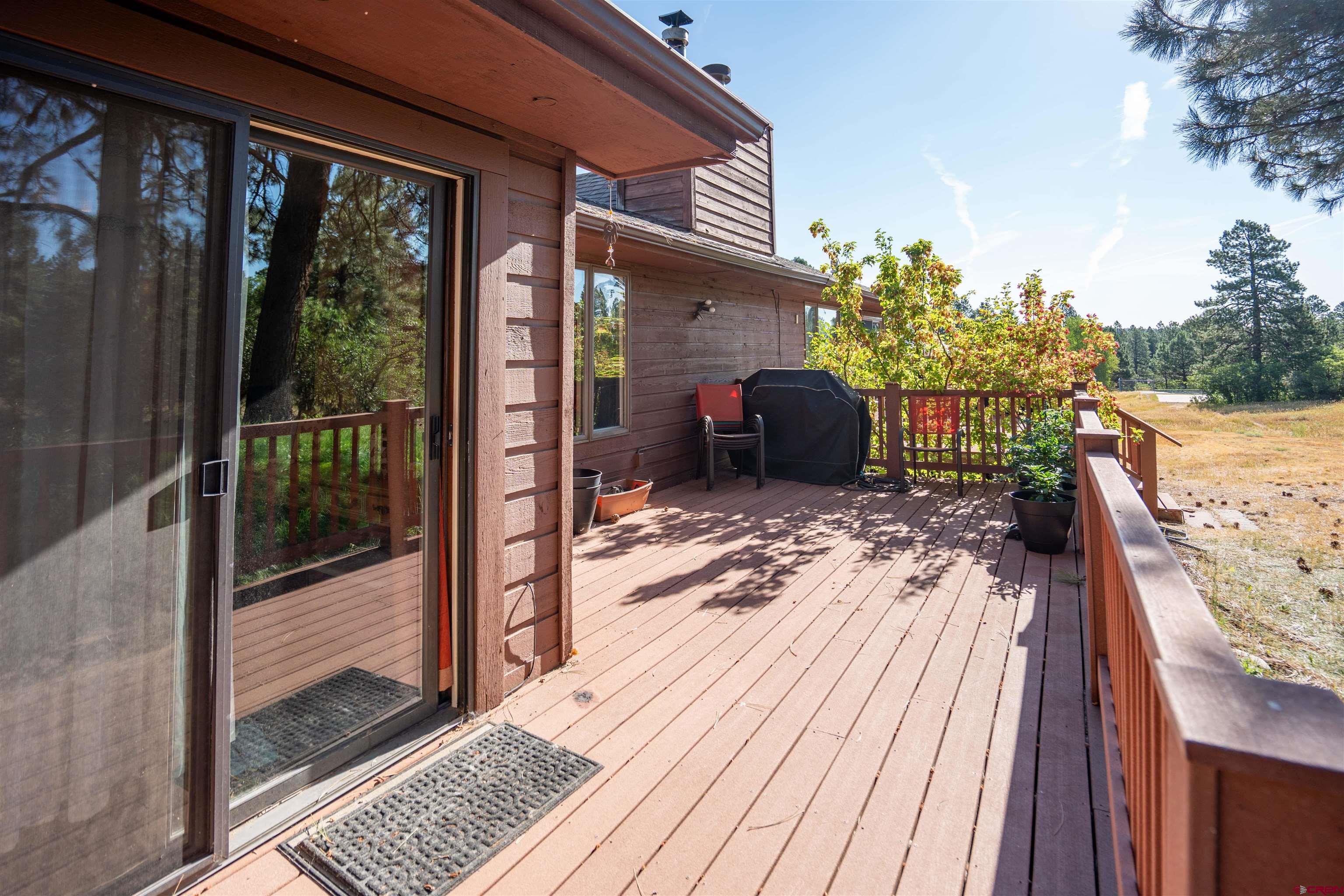 222 Pine Ridge Loop Durango, CO 81301 - Photo 20 of 27