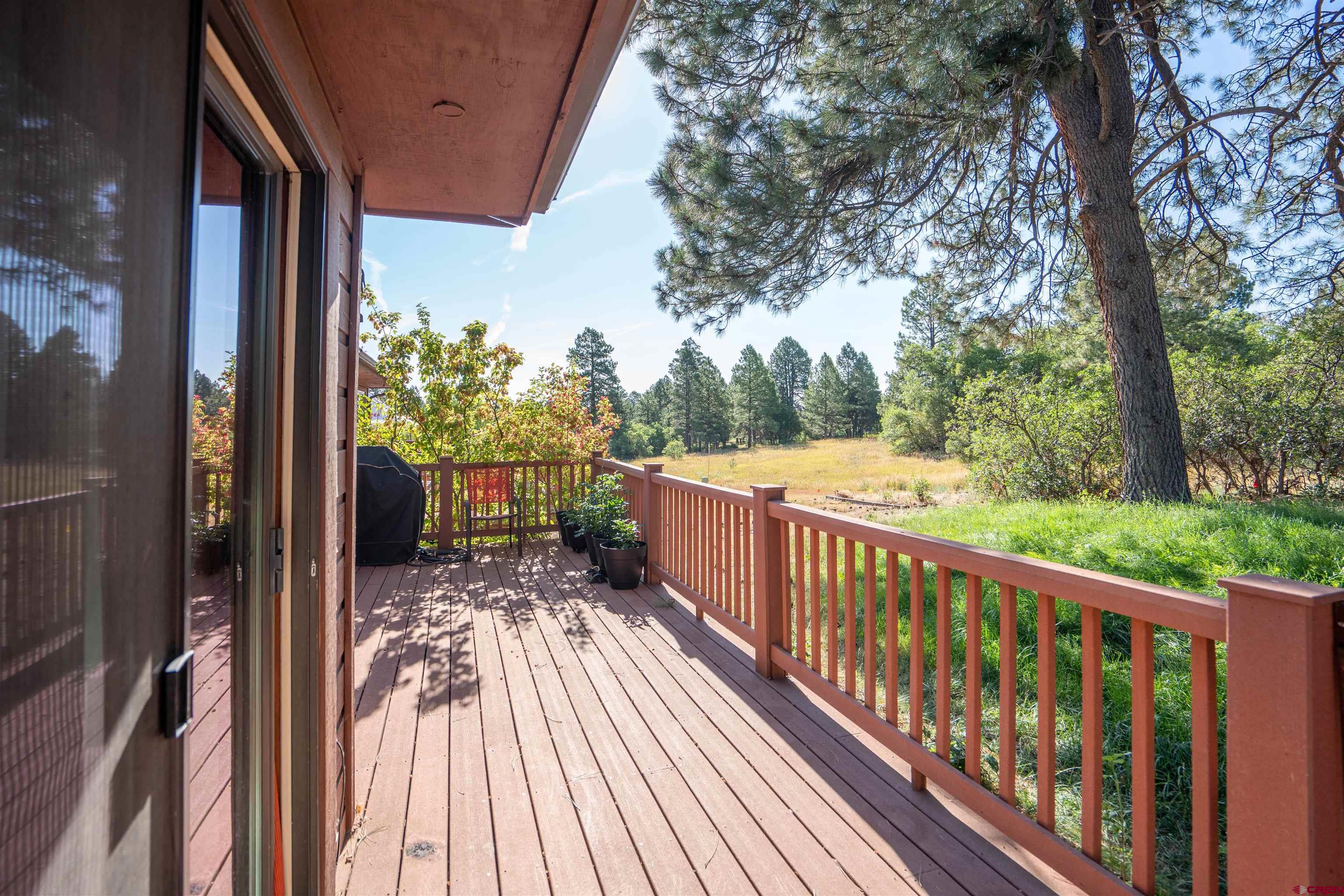 222 Pine Ridge Loop Durango, CO 81301 - Photo 22 of 27