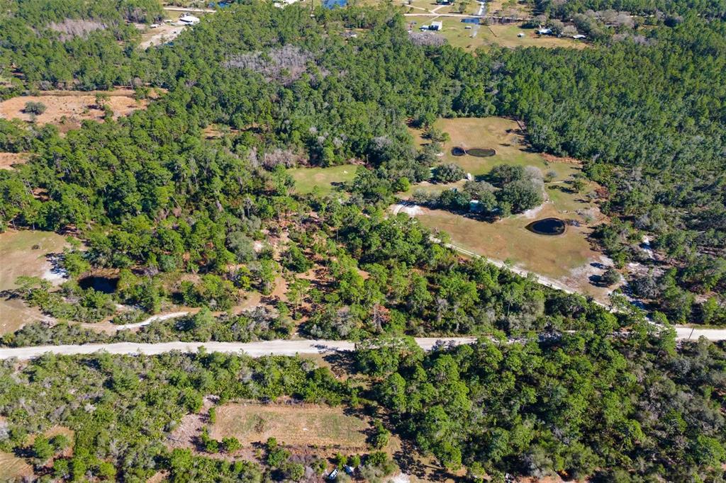 310 Fawn Trail Osteen, FL 32764 - Photo 3 of 6 an aerial view of a house with a yard and outdoor seating