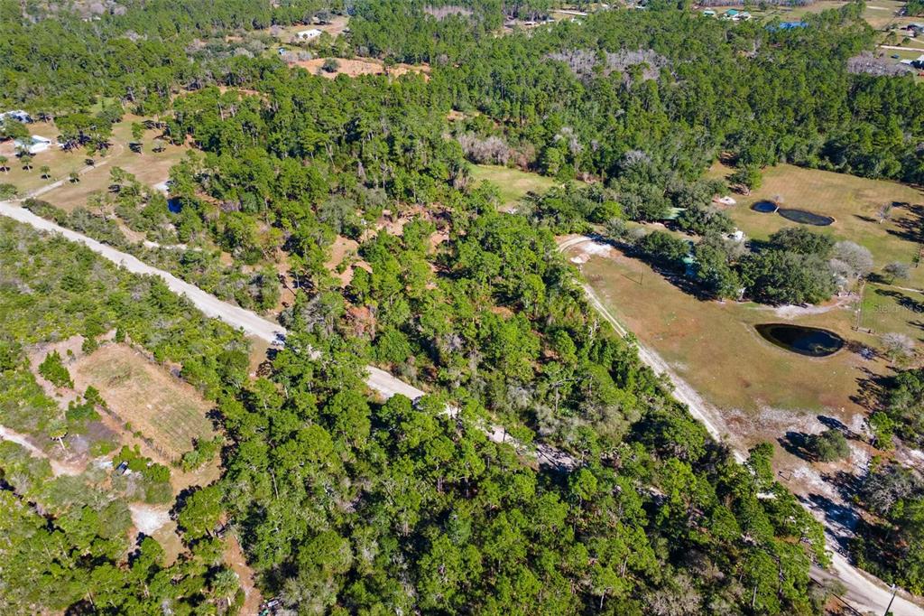 310 Fawn Trail Osteen, FL 32764 - Photo 4 of 6 an aerial view of residential house with outdoor space and trees all around