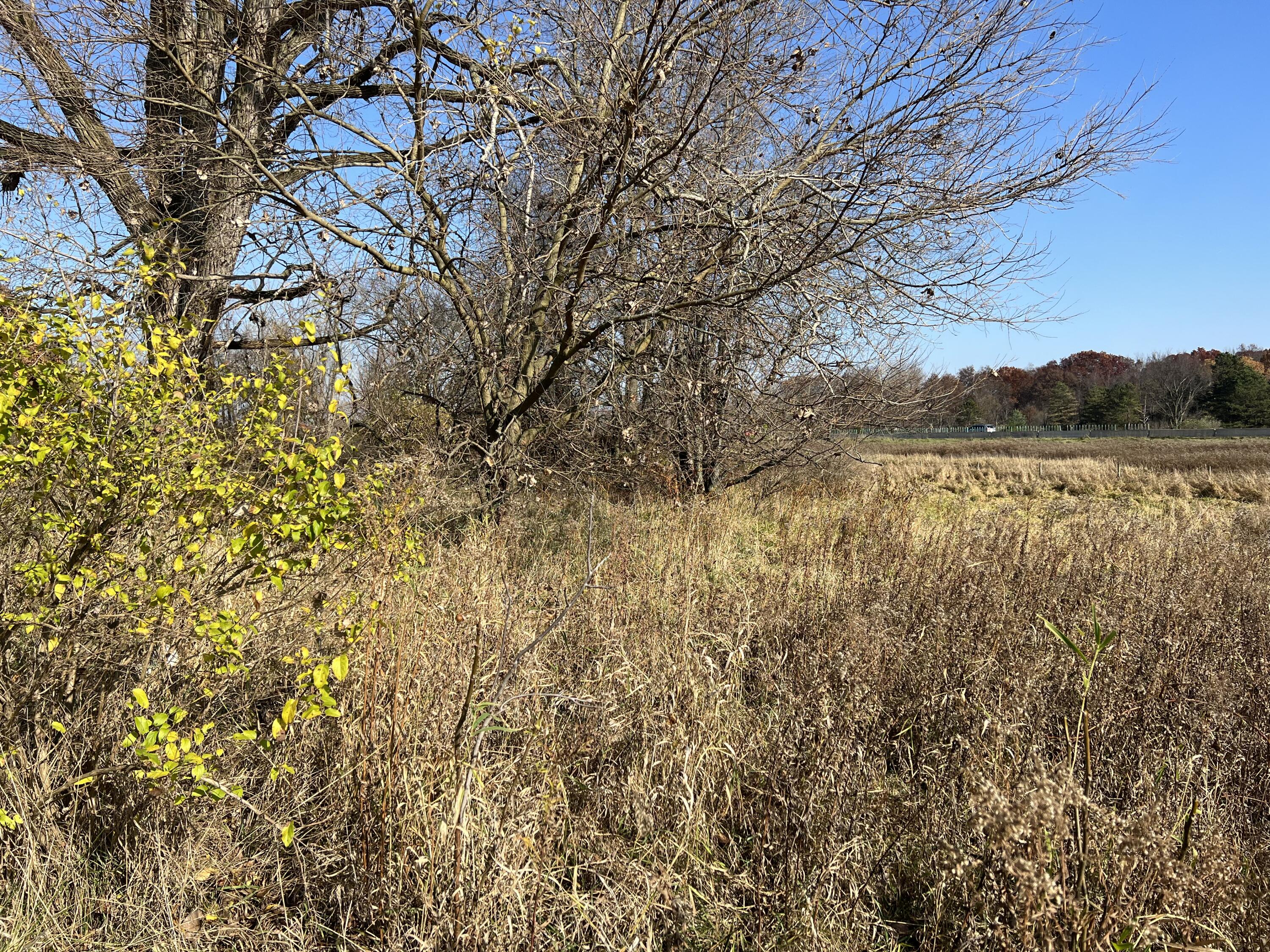 21000 Junction Road Bellevue, MI 49021 - Photo 8 of 14 3 acres