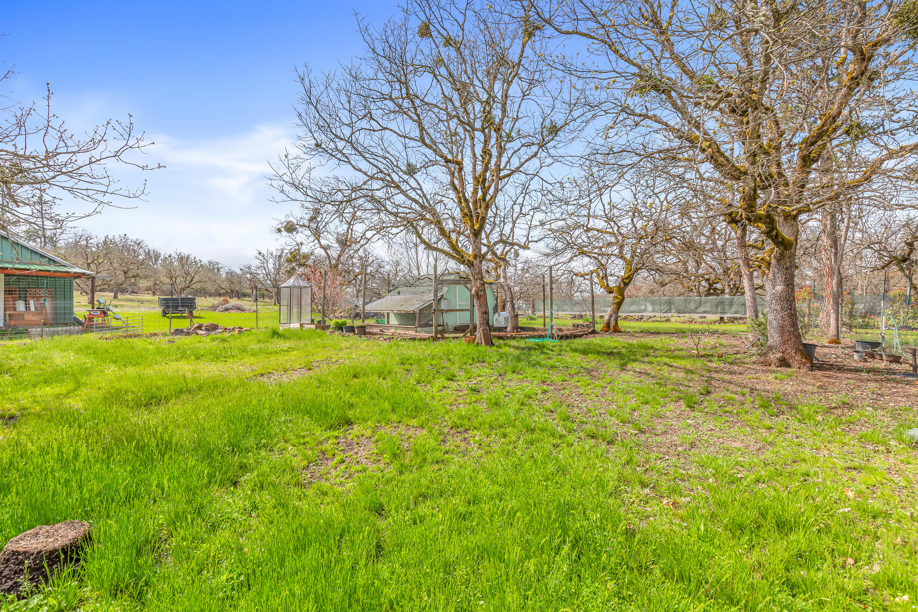349 Capri Drive Eagle Point, OR 97524 - Photo 42 of 54 9R9A7617