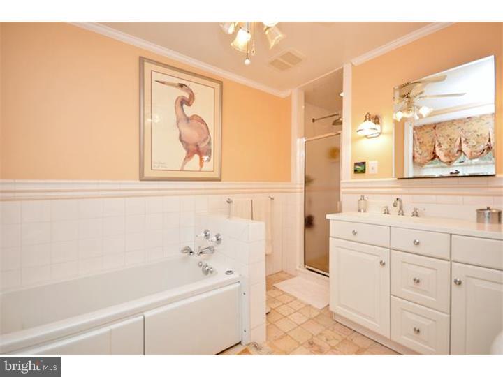 312 Berkeley Road Merion Station, PA 19066 - Photo 15 of 23 Master Bathroom