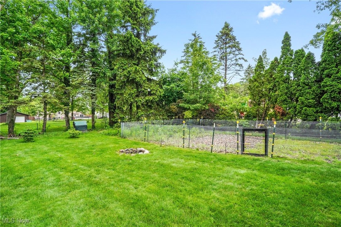 4190 Springdale Road Stow, OH 44224 - Photo 34 of 38 View of yard