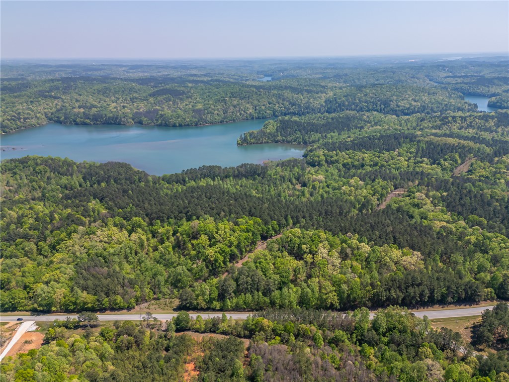 3399 Rochester Highway Seneca, SC 29672 - Photo 3 of 5 This elevated perspective showcases expansive natural beauty with a tranquil lake and abundant trees.