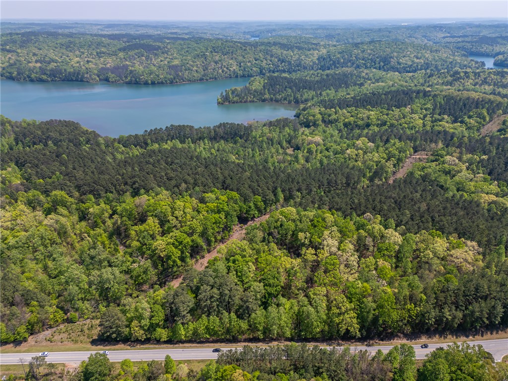 3399 Rochester Highway Seneca, SC 29672 - Photo 4 of 5 This elevated landscape showcases a serene lake nestled amongst lush, verdant forests.