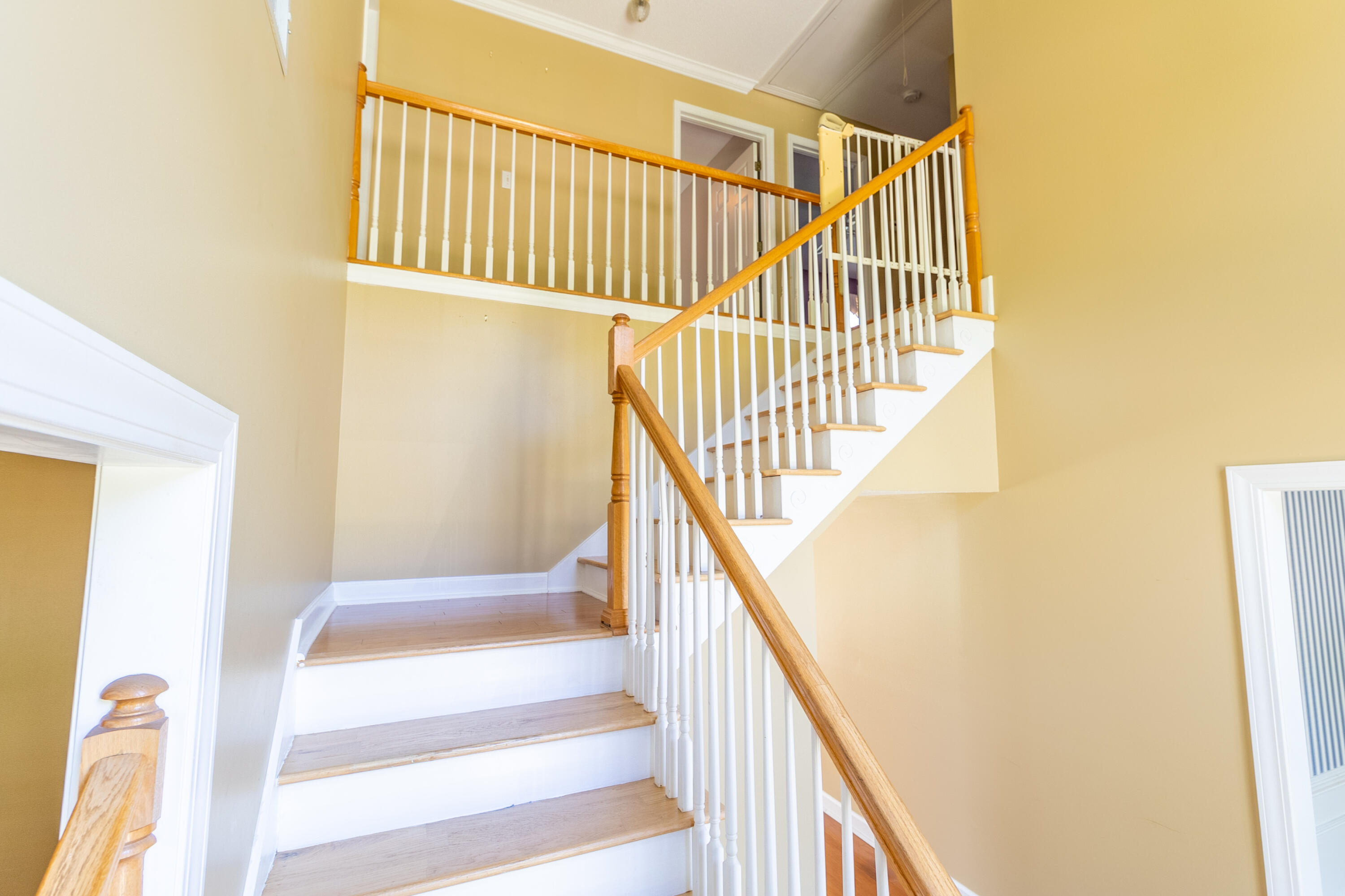 1726 Fox Ridge Court Charleston, SC 29414 - Photo 25 of 41 3S7A4478-HDR