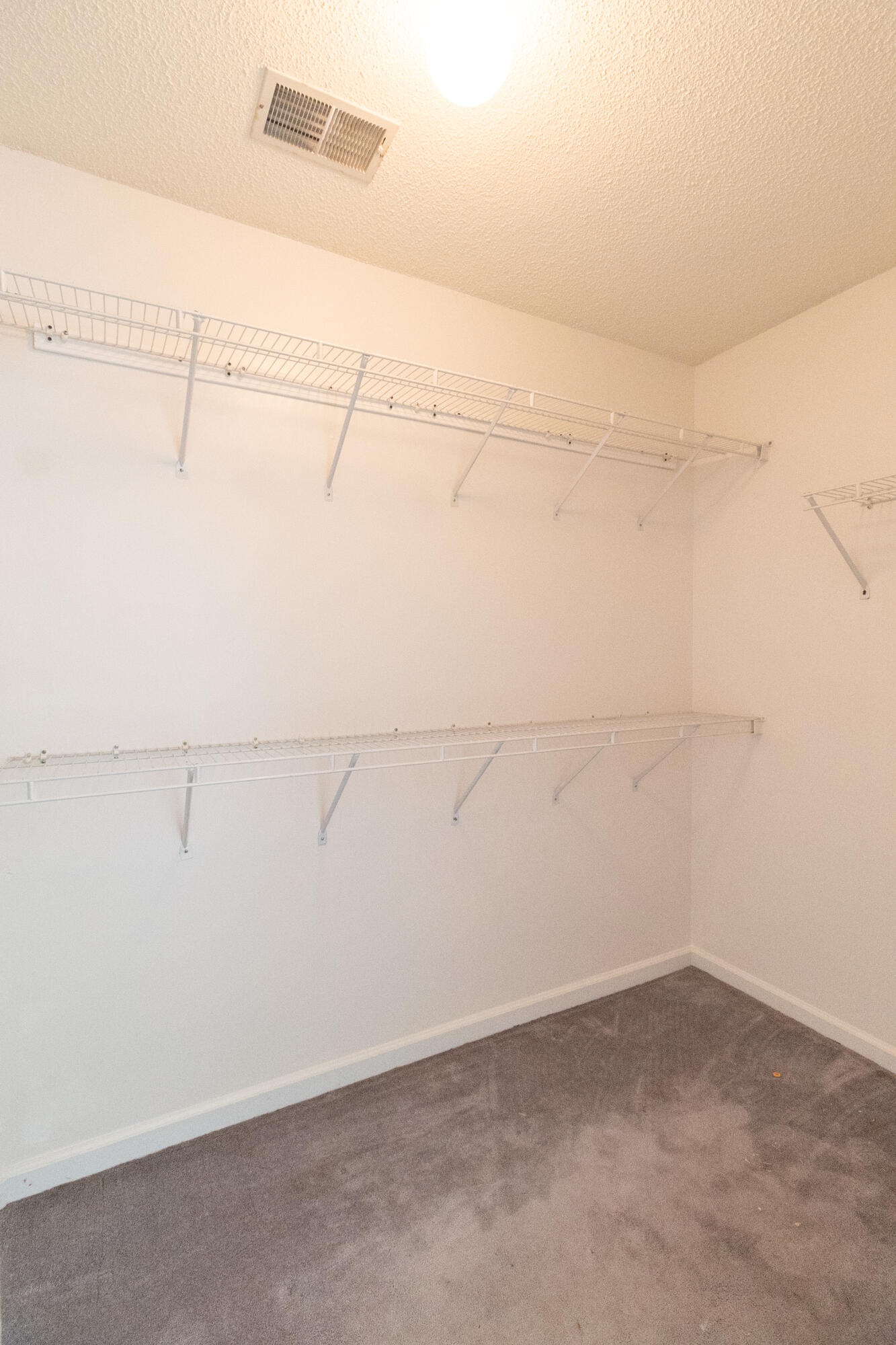 1726 Fox Ridge Court Charleston, SC 29414 - Photo 33 of 41 Walk-In Closet