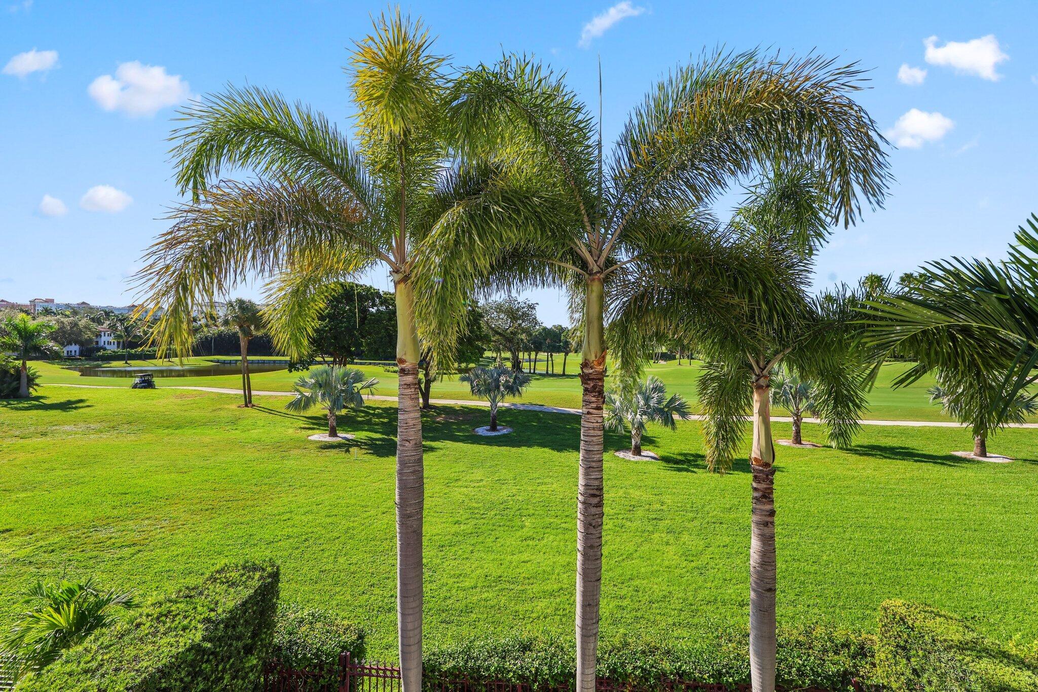 340 East Royal Palm Road Boca Raton, FL 33432 - Photo 54 of 59 a view of a yard and palm trees