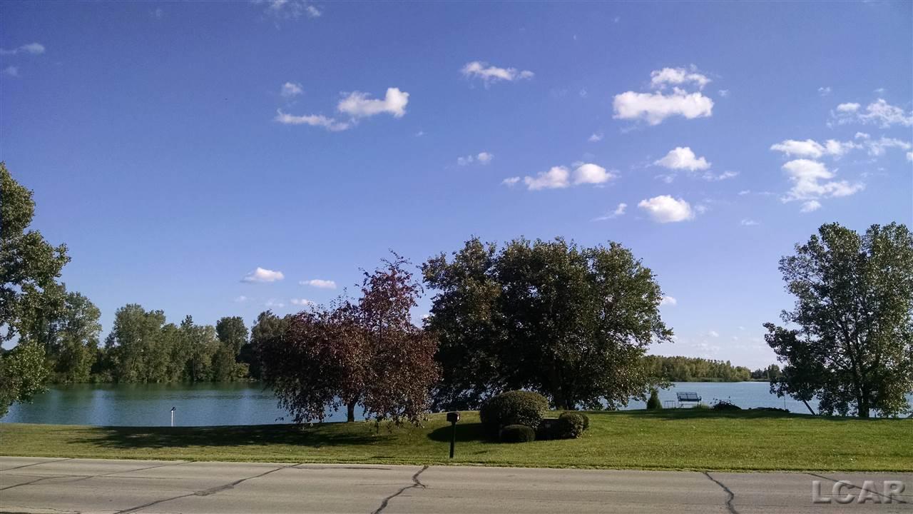 2100 West Cadmus Road Adrian, MI 49221 - Photo 11 of 11 View from front yard