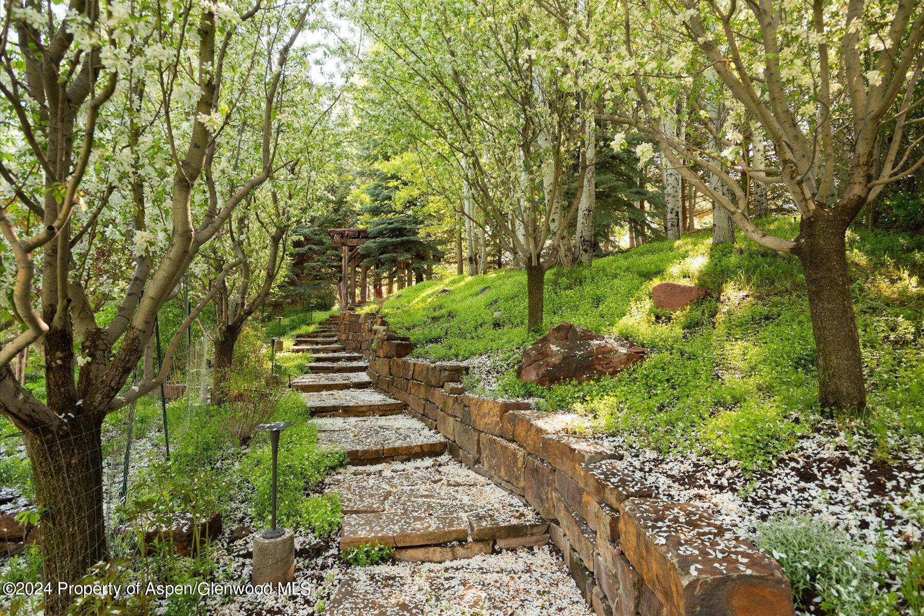 73 Hideaway Lane Aspen, CO 81611 - Photo 30 of 100 a view of a pathway of a yard