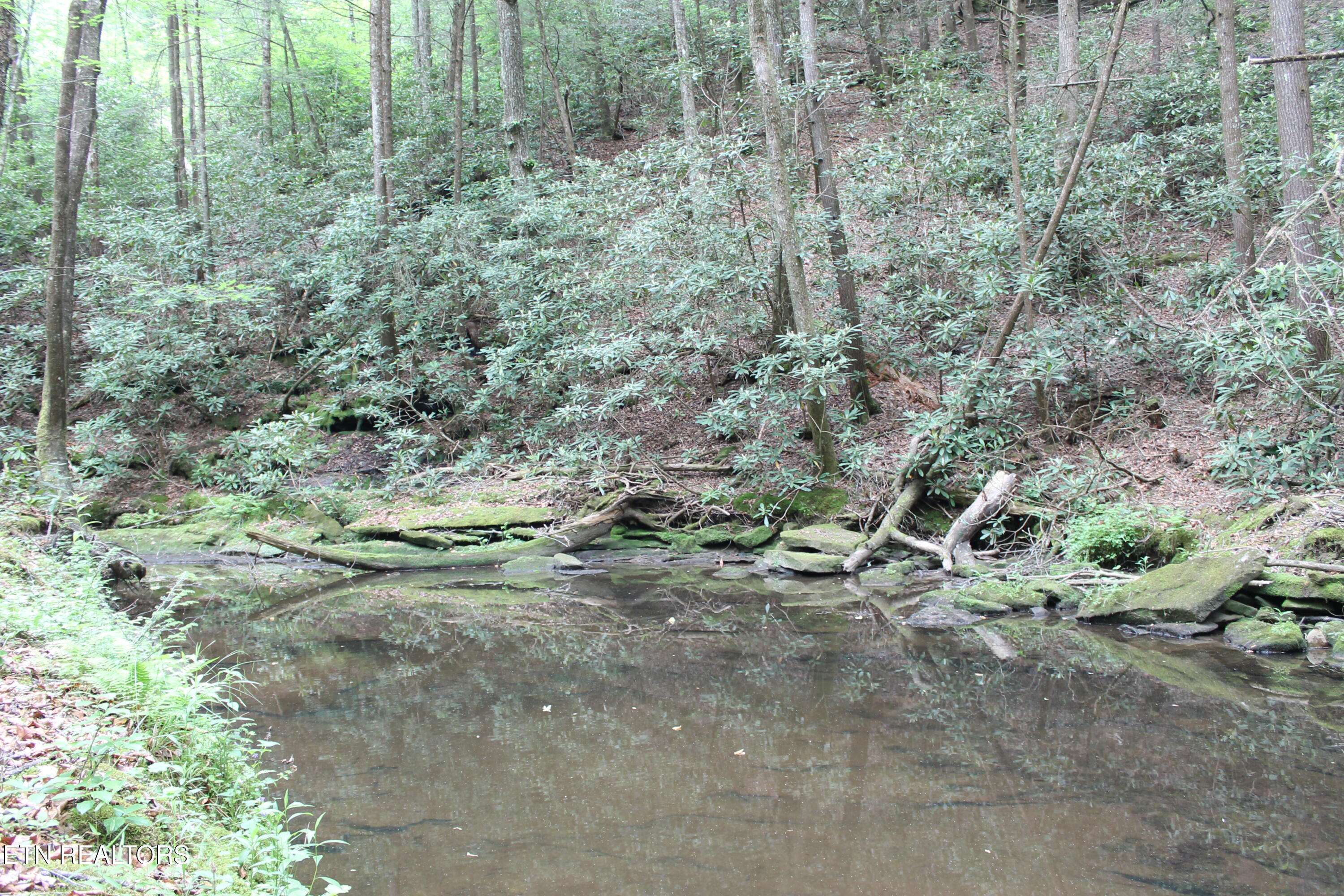 232 Wright Cemetery Road Allardt, TN 38504 - Photo 23 of 39 IMG_8083