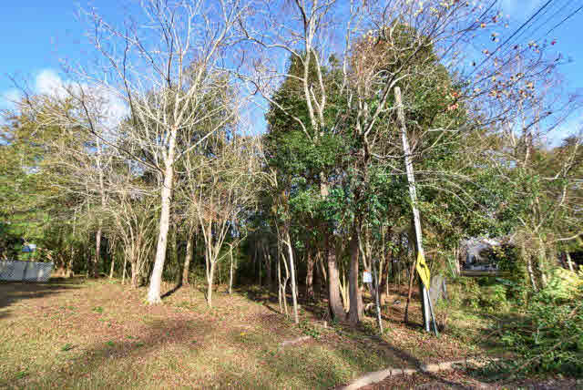 0 Johnson Avenue Fairhope, AL 36532 - Photo 2 of 7