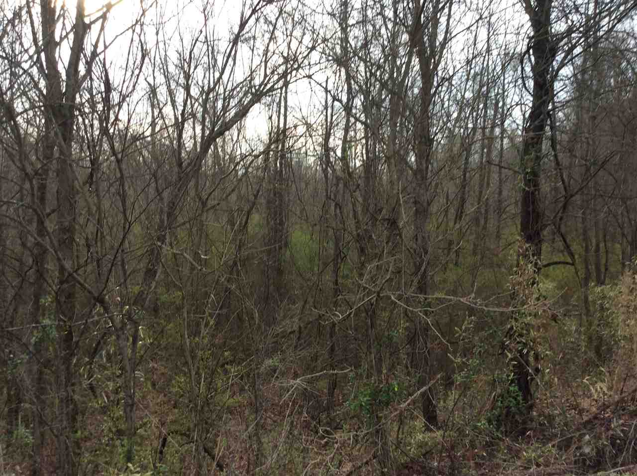 N/a North Watkins Road Millington, TN 38053 - Photo 1 of 4 Gallery Image 1