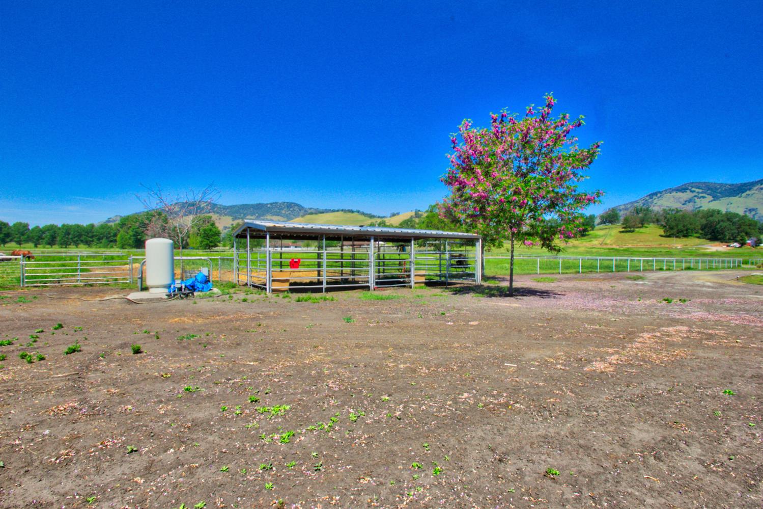 31822 Indian Guide Road Squaw Valley, CA 93675 - Photo 33 of 49 Gallery Image 33